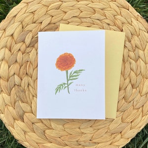 Cartão de agradecimento flor de calêndula - em branco