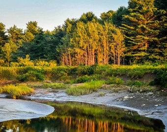 Scarborough Marsh at Low Tide