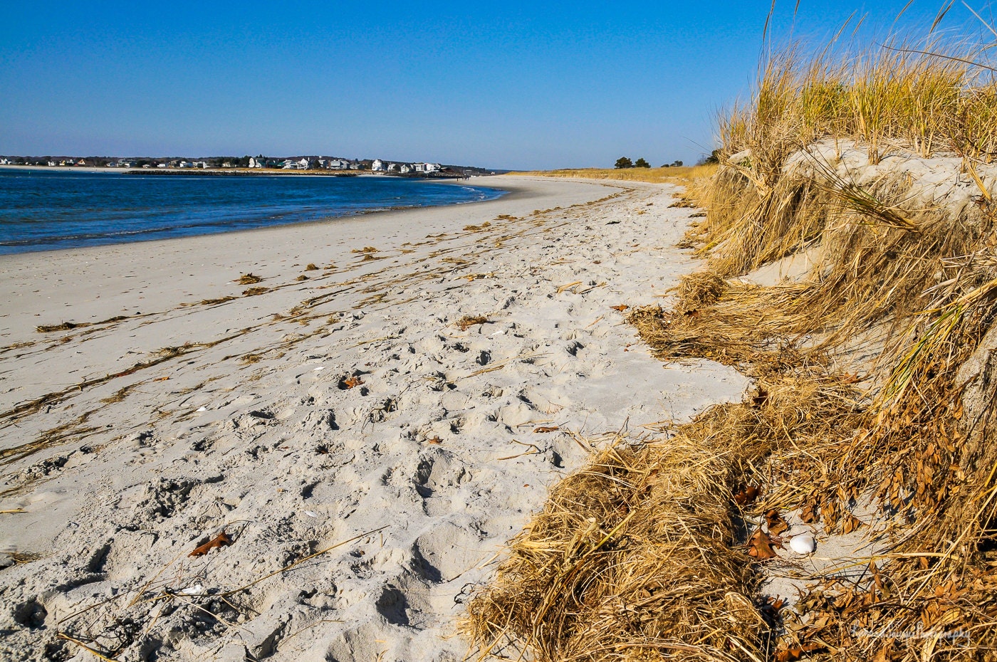 Ferry Beach, Scarborough ME Etsy