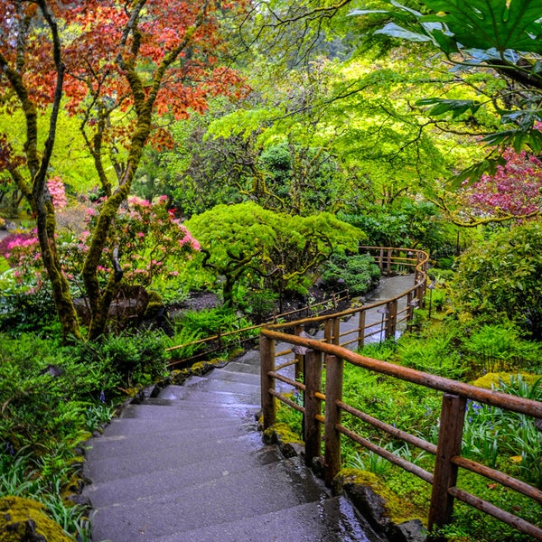 Walkway to the Japanese Garden at Butchart Gardens
