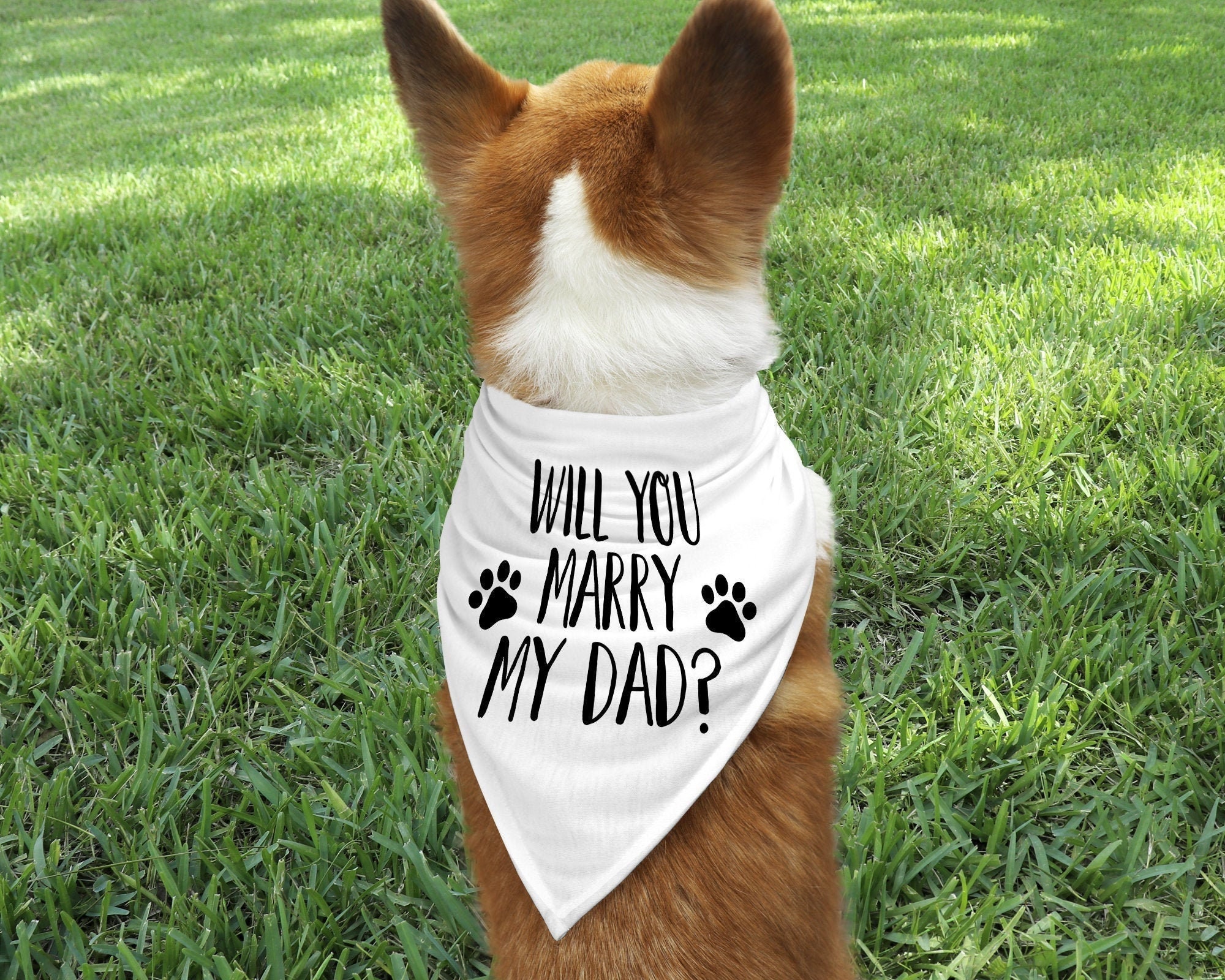 Cute Wedding Proposal Dog Bandana Will You Marry My Mum? Black Costume Fancy Dress For Dogs S3 Medium Dogs Dalmatians, Labrador /& Staffies