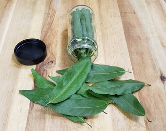 Bay Leaves - Umbellularia Californica - Freshly Dried - Fragrant and Flavorful For Cooking, Tea, or Herbal Remedies