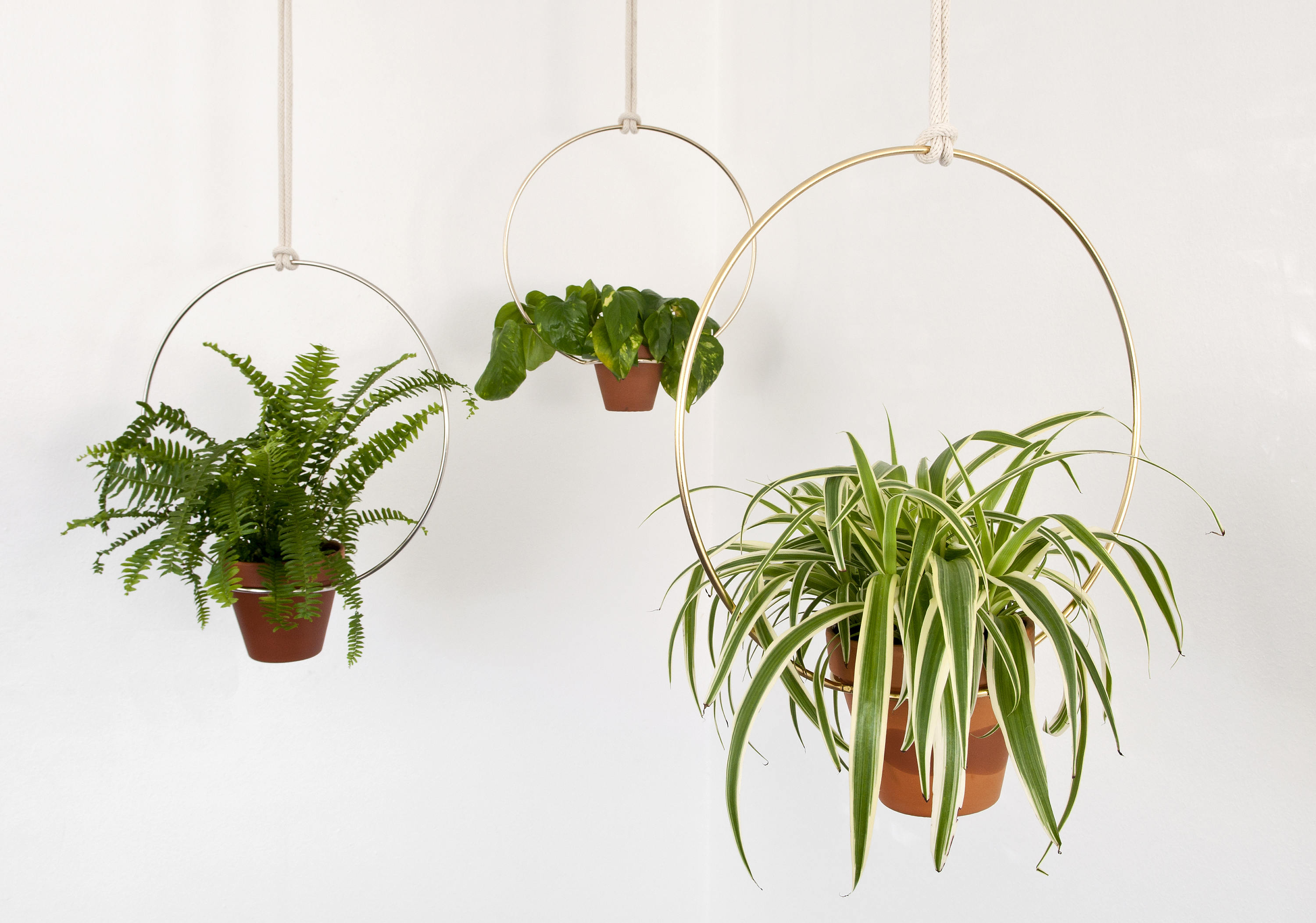 2 Gold Plant Ring Hanger Metal Plant Hanger Round Plant Etsy