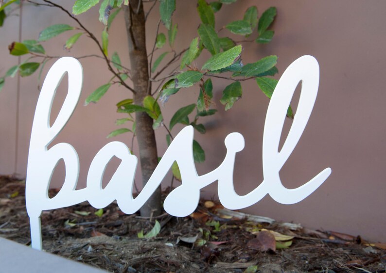 Basil Basil garden sign 10x13 metal garden sign Etsy