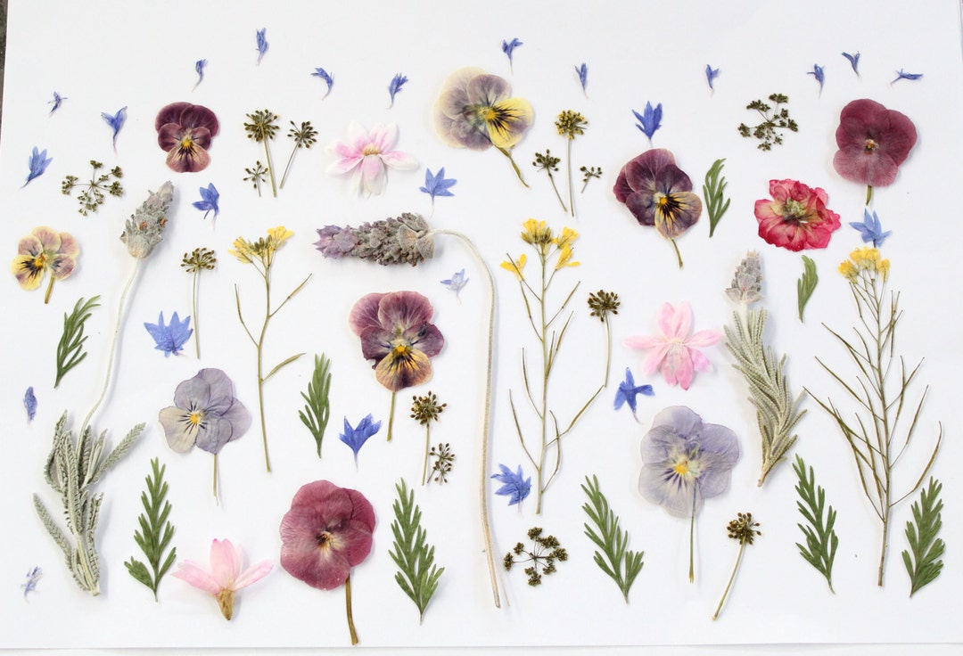 45pc Edible Pressed Flowers Edible Dried Flowers for Wedding Etsy