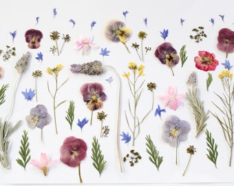 May include: A collection of pressed flowers and leaves, including lavender, pansies, and other wildflowers, arranged on a white background.
