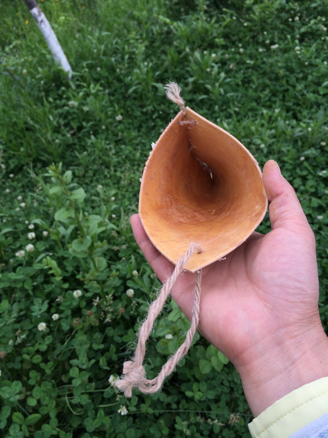 5pcs Hanging Birch Bark Basket Pew Cone wall organizer Rustic Etsy