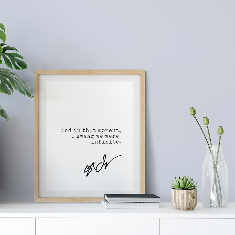 The Perks of Being a Wallflower Quote, Motivation Poster, digital download print, Literature, Stephen Chbosky quotes image 8