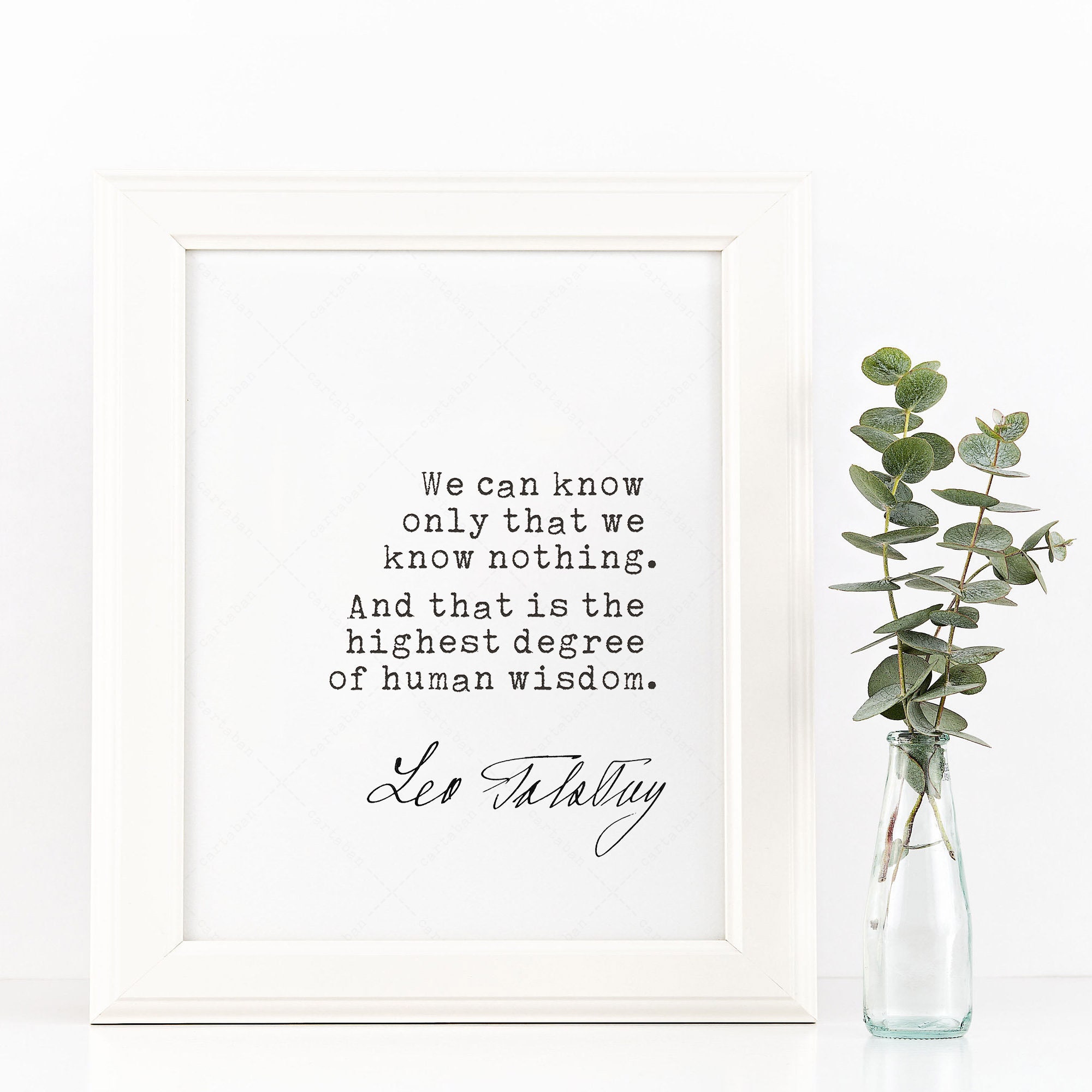 leo tolstoy quotes war and peace