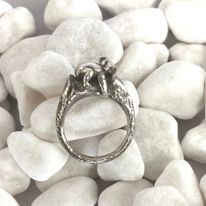 Koala Ring