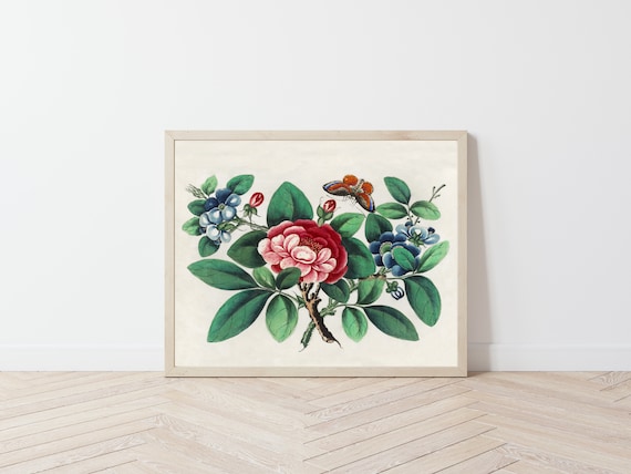 Vintage Botanical Art Prints with Butterfly // Chinese Floral Illustration // Vintage Colorful Art Painting Picture // Tropical Wall Decor Il_570xn