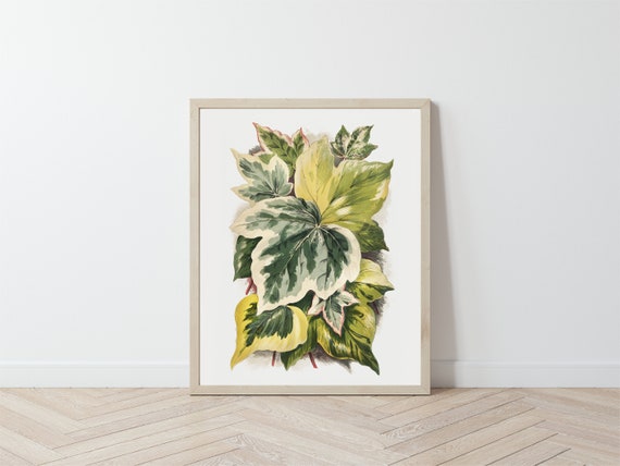 Botanical Art Print / Vintage Boho Bohemian Wall Decor Painting / Greenery Vines Plant Lover Art Poster Il_570xn