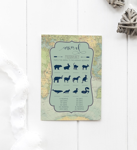 Baby Animals Baby Shower Game. Adventure Baby. Animals Game. Animal Pregnancy Game. Printable Game. Instant Download. Boy Baby Shower. Il_570xn