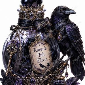 50 Clipart PNG di bottiglie di pozioni fantasy, clipart di pozioni da strega, PNG di speziale magico, clipart gotiche, PNG trasparenti immagine 4
