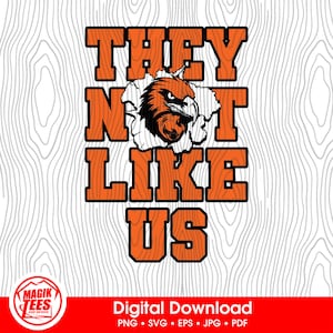Sie mögen uns nicht Falken Orange | Schulgeist Digitaler Download | Lustiger Trendy Slang | Maskottchen Pride Logo | PNG, SVG, JPEG, pdf, eps
