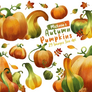 Watercolor Autumn Pumpkins & Gourds Clip Arts - PNG - Digital Instant download
