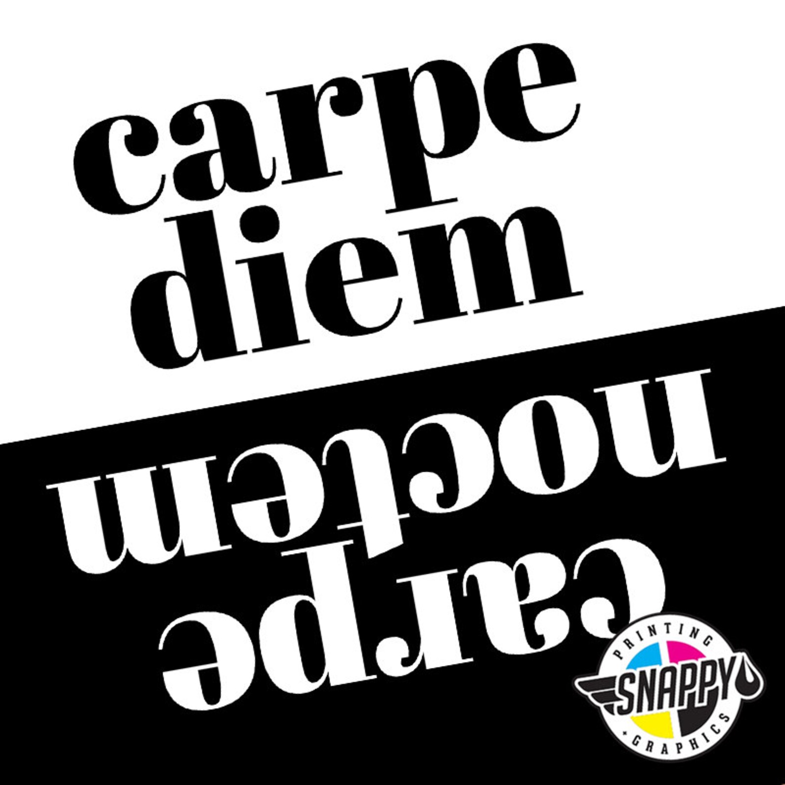 Carpe Diem / Carpe Noctem Mat/doormat/rug 2 Sizes Etsy