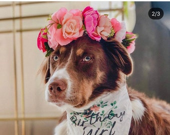 Dog Flower Crown