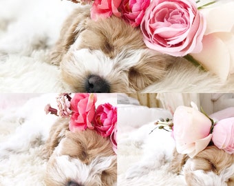 Dog Flower Crown - Pet Flower Crown - Animal Flower Crown - Floral Headband - Photo Prop - Custom Made