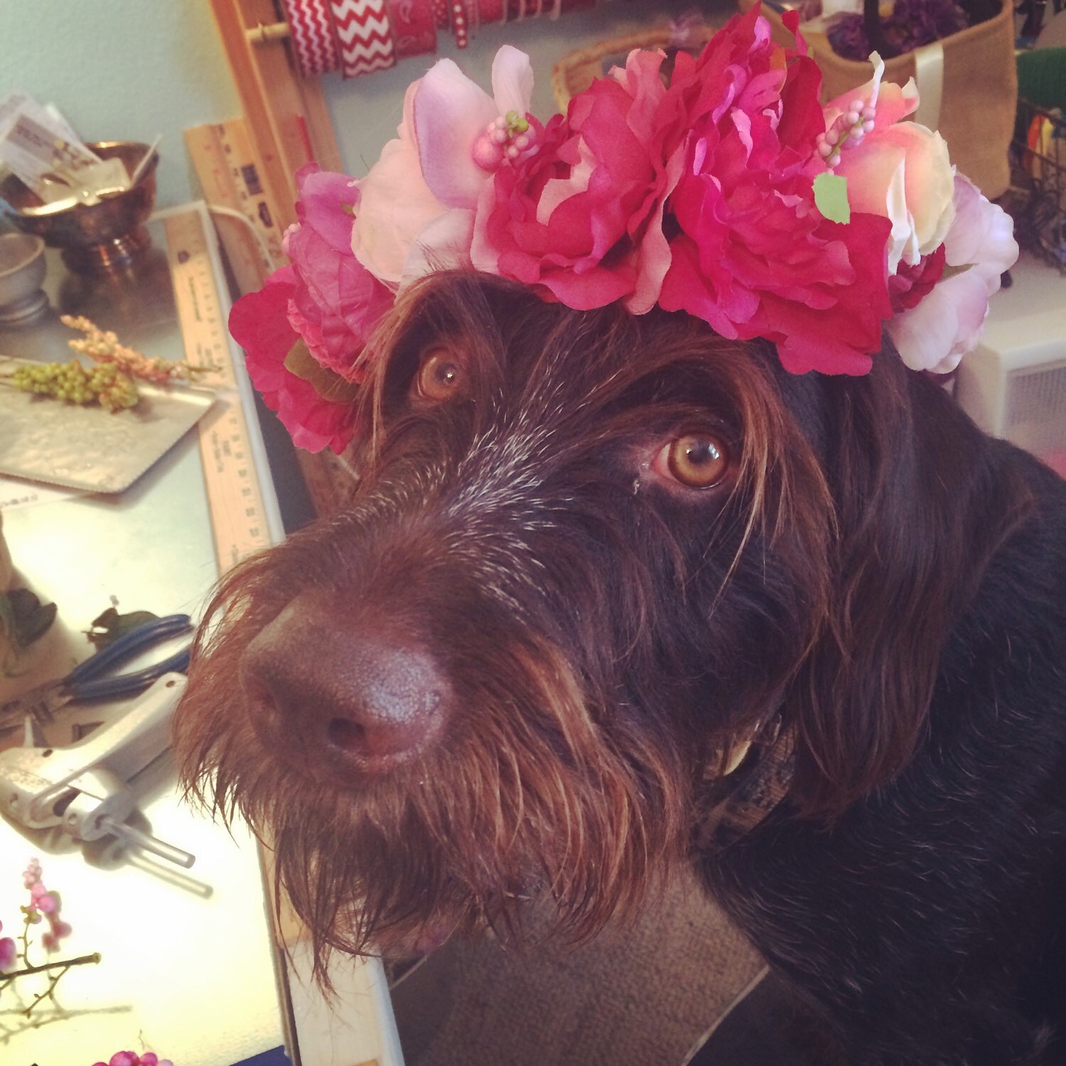 Dog Flower Crown Dog Flower Collar Custom Made Photo Etsy