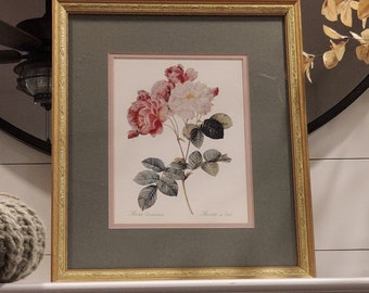 Vintage Pierre Joseph Redoute Art Print "Rosa Damascena" Rosier De Cels Framed Rose Art in Gold Frame-Botanical Boho Modern Home Decor