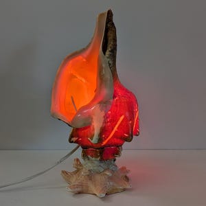 May include: A conch shell lamp featuring a natural textured exterior and a smooth, glowing interior illuminated with a vibrant red light. The shell is mounted on a base made of smaller, lighter-colored shells and includes a white electrical power cord.