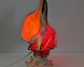Vintage Nautical Conch Shell Table Lamp With Starfish Base-Nautical to Beach Home Decor Lamp-MCM Concho Shell Accent Lamp