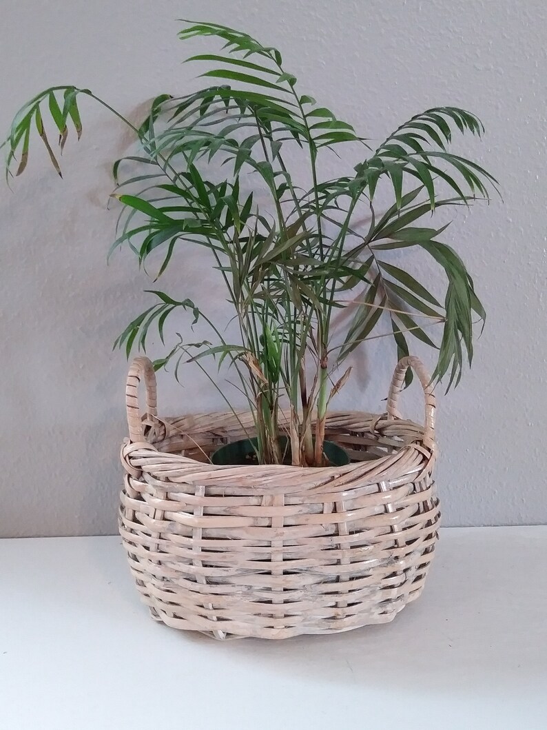 Vintage White Wicker BasketWhite Washed Wicker Basket Plant Etsy