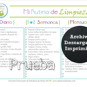 Home Cleaning Routine Template