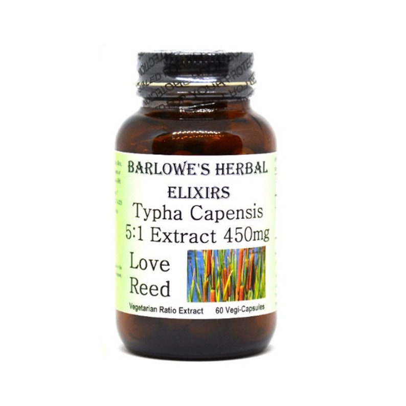 Typha Capensis Love Reed 5:1 Extract, Vegi-Caps, Stearate Free, Glass Bottle Highest Quality & Potency. BarlowesHerbalElixirs image 1