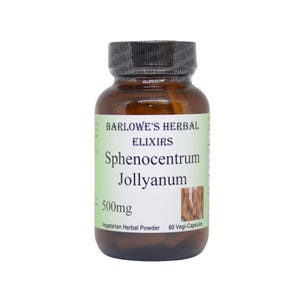 Sphenocentrum Jollyanum Herb Powder | 500mg | Men&#39;s African Herbal Tonic |60 Veggie Capsules | Sterate Free