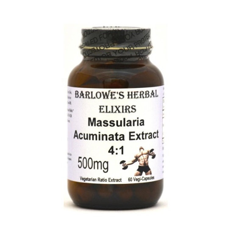 Massularia Acuminata Extract, Massularia Acuminata Stem Extract 4:1, Stearate Free Highest Quality & Potency. BarlowesHerbalElixirs image 1