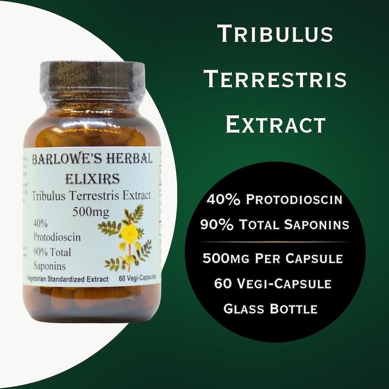 Pode incluir: Uma garrafa de vidro de extrato de Tribulus Terrestris de Elixires Herbais Barlow, com um r&oacute;tulo castanho e uma ilustra&ccedil;&atilde;o de planta verde. A garrafa cont&eacute;m 60 c&aacute;psulas e &eacute; de 500 mg por c&aacute;psula. O r&oacute;tulo indica 40% de Protodioscina e 90% de saponinas totais.