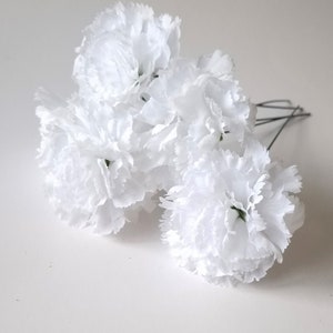 May include: A bunch of white carnation flowers with green centers. The flowers are arranged in a cluster and have a soft, fluffy texture.