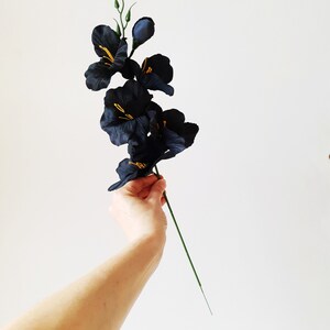 May include: A single stem of black silk gladiolus flowers with gold accents. The flowers are arranged in a cluster with buds at the top of the stem.