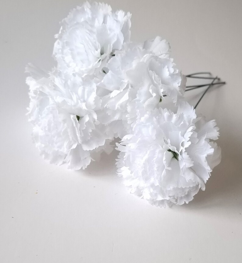 May include: A bunch of white carnation flowers with green centers. The flowers are arranged in a cluster and have a soft, fluffy texture.