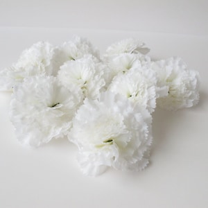 May include: A bunch of white carnations with ruffled petals. The carnations are arranged in a cluster, with some overlapping.