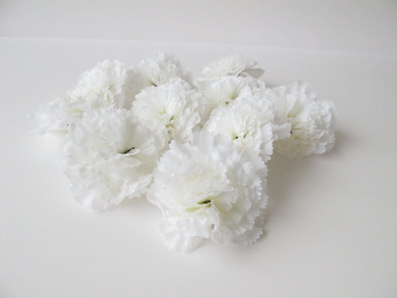 May include: A bunch of white carnations with ruffled petals. The carnations are arranged in a cluster, with some overlapping.