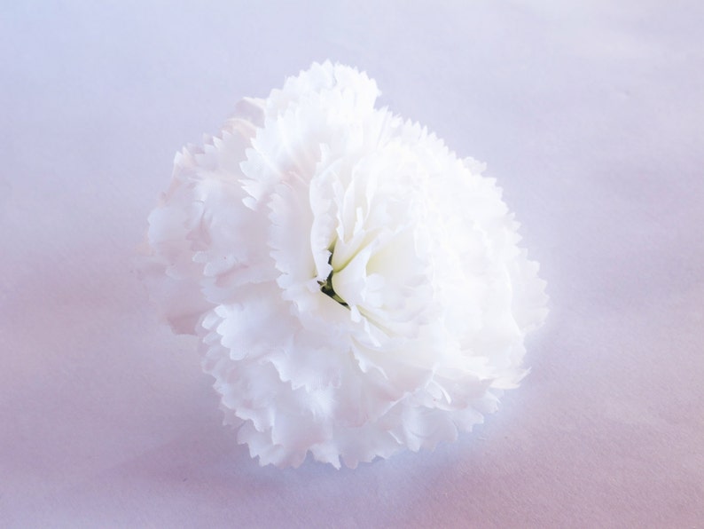 May include: A single white carnation flower with ruffled petals.