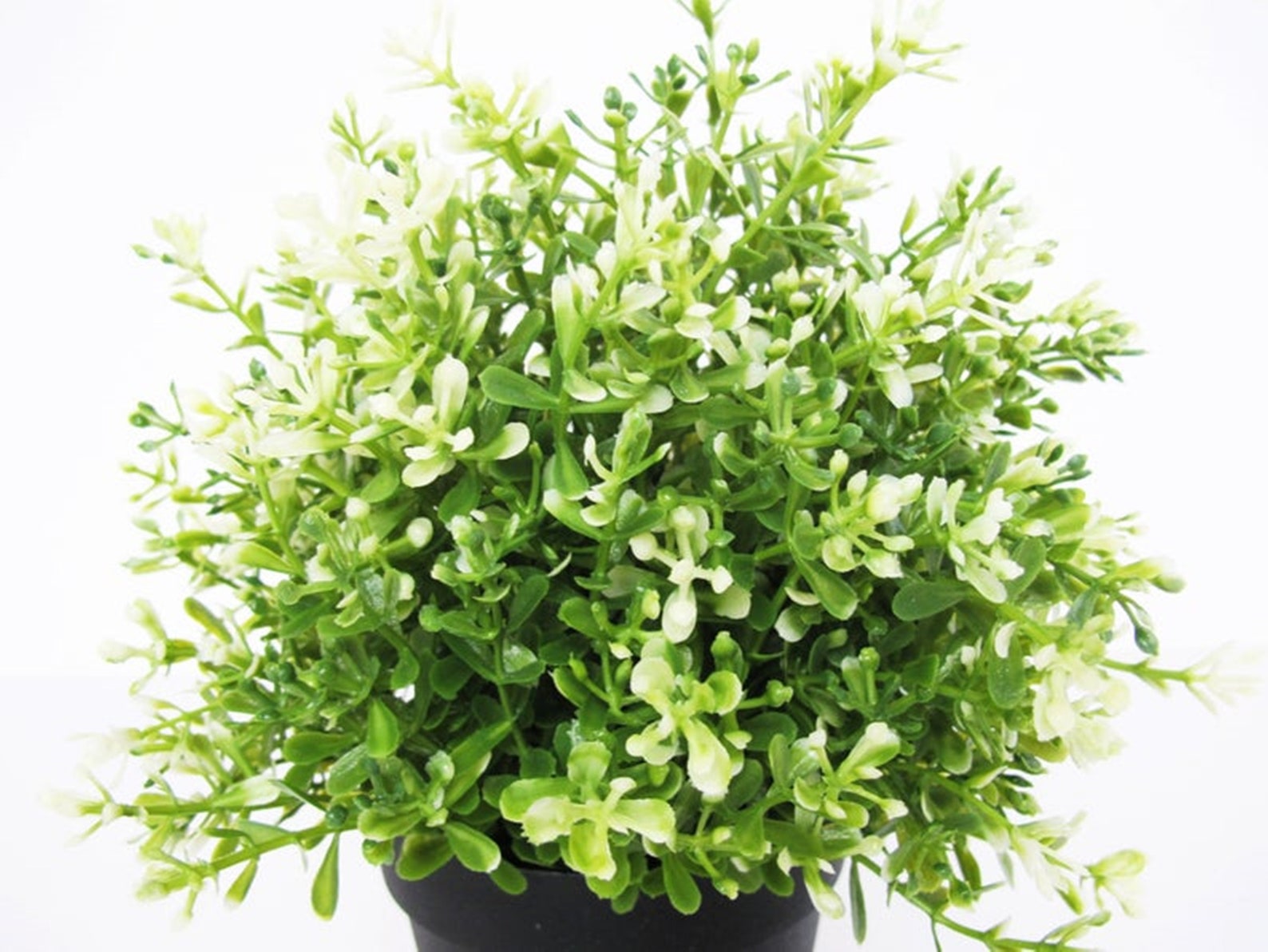 Small Plant in Pot Artificial Leaves Hight Quality Plastic Etsy