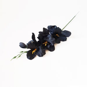 May include: A bunch of black silk gladiolus flowers with yellow centers. The flowers are arranged in a line and have a green stem.
