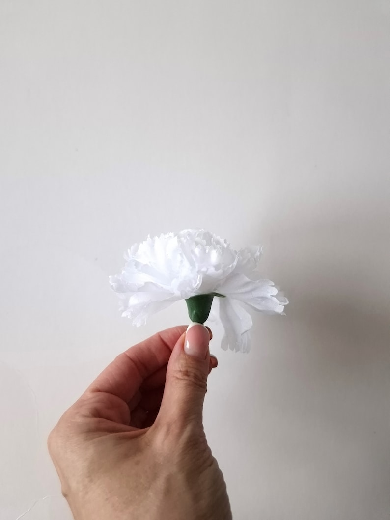 May include: A single white carnation flower with a green stem.