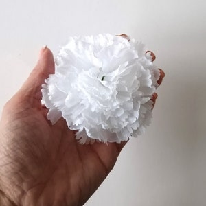 May include: A single white carnation flower with ruffled petals.