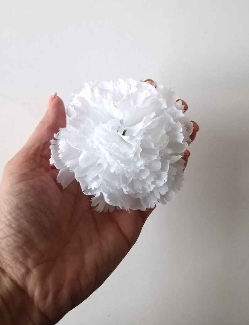 May include: A single white carnation flower with ruffled petals.
