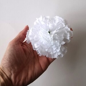 May include: A single white carnation flower with ruffled petals.