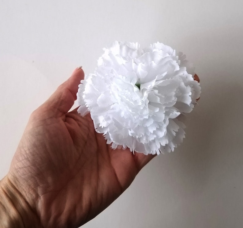 May include: A single white carnation flower with ruffled petals.