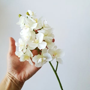 1 White Orchid Branch 15 Heads 21.6in Single Stem White Artificial Faux Flower, Fake Flowers Branch, Phalaenopsis, Butterfly Orchids Bush