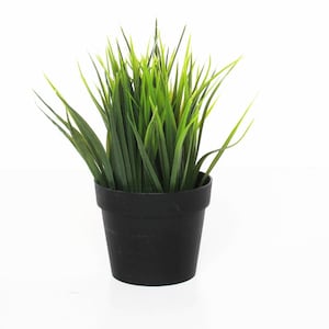May include: A potted artificial grass plant with long, green blades in a black plastic pot.