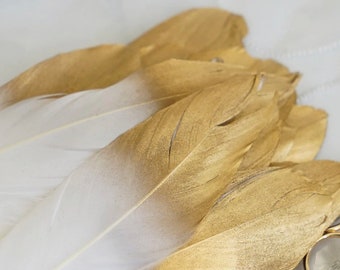 Hat Bar - Feather