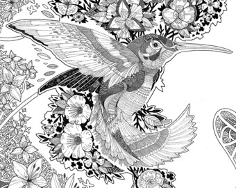 Hummingbird || Wildlife || A3 - A4 print